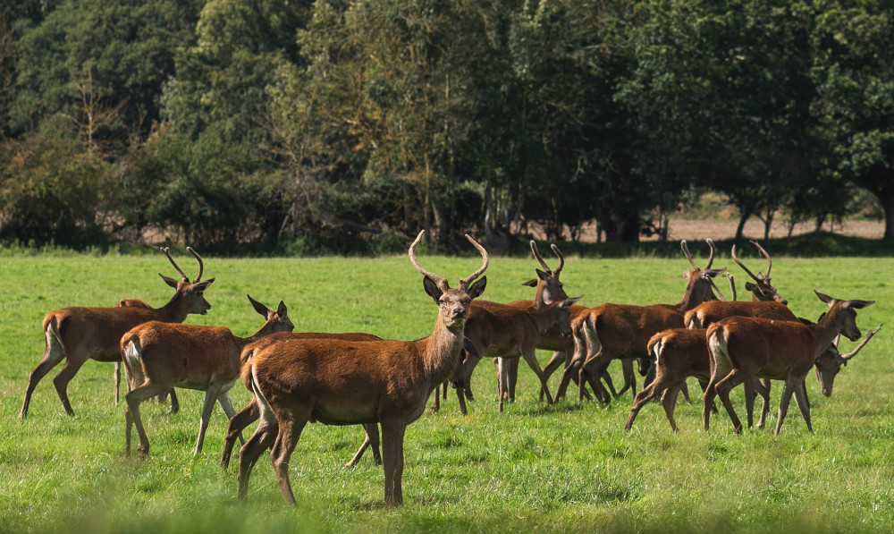 Bridwell park