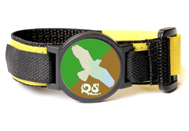 Wristband (+£2.50)